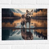 Muursticker - Wolf in Landschap met Weerspiegeling in het Water - 40x30 cm Foto op Muursticker