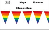 6x Mega vlaggenlijn regenboog 30cm x 45cm 10 meter - Reuze vlaggenlijn - vlaglijn mega thema feest verjaardag optocht festival