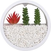 Cgoods Wanddecoratie - kunstplant - muurdecoratie - plantenpot - muurbloempot - wit