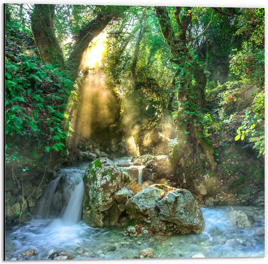 Dibond - Water - Waterval - Planten - Bomen - Stenen - Zon - 50x50 cm Foto op Aluminium (Wanddecoratie van metaal)