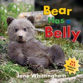 Big, Little Concepts- Bear Has a Belly