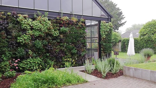 Innovatieve verticale plantenwand nature's green NextGen 100