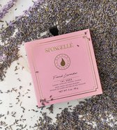 Spongellé Flower Boxed - French Lavender