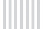 Fotobehang - Vlies Behang - Grijs en Witte Strepen - 312 x 219 cm