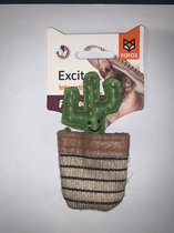 Fofos Cactus Mexico