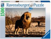 Ravensburger puzzel Leeuw - Legpuzzel - 1500 stukjes