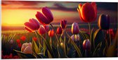 Acrylglas - Kleurrijke Tulpen in Bloemenveld - 100x50 cm Foto op Acrylglas (Wanddecoratie op Acrylaat)