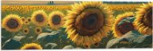 Vlag - Close-up van Zonnebloemen Omringd door Zonnebloemen in een Zonnebloemenveld - 90x30 cm Foto op Polyester Vlag