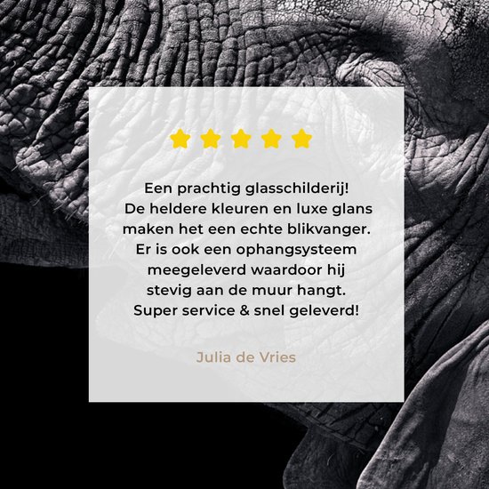 MuchoWow® Peinture sur verre 90x90 cm - Peinture sur verre - Éléphant - Animaux - Zwart - Nature - Photo sur verre acrylique - Peintures
