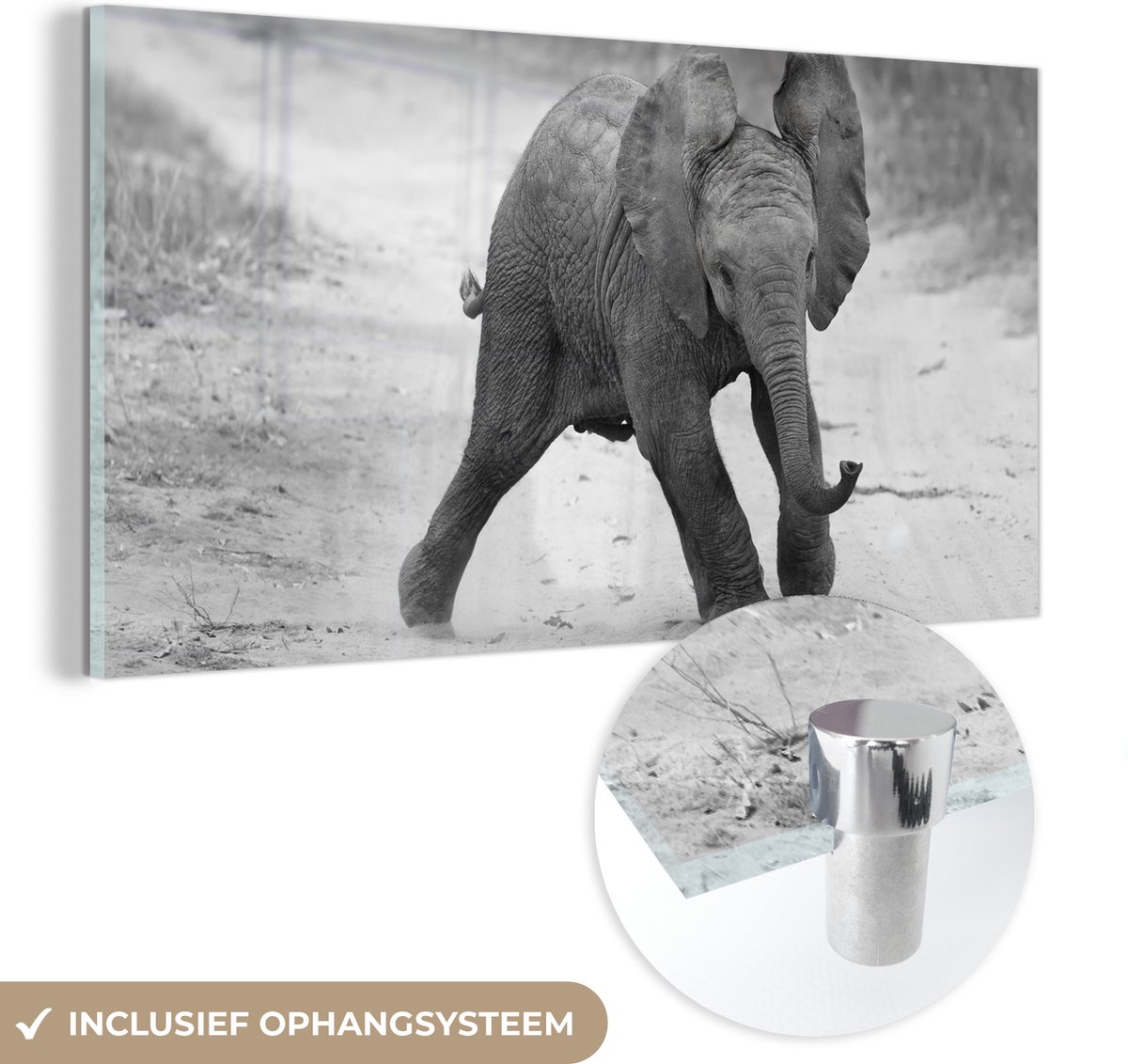 MuchoWow® Glasschilderij 40x20 cm - Schilderij acrylglas - Olifant - Baby - Dieren - Pad - Zwart wit - Foto op glas - Schilderijen