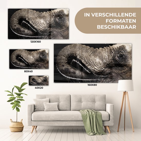 MuchoWow® Peinture sur verre 120x60 cm - Peinture acrylique sur verre - Éléphant - Animaux - Zwart - Nature - Photo sur verre - Peintures