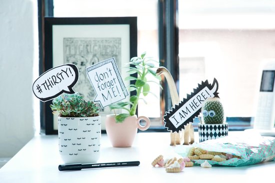 Decoratieve tafel met planten en tekstballonnen. Een succulente in een pot met ogen, een cactus met een dinosaurus.