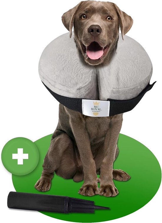 Inflatable dog collar online