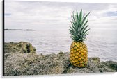 Canvas - Ananas - Rotsen - Zee - Golven - 150x100 cm Foto op Canvas Schilderij (Wanddecoratie op Canvas)