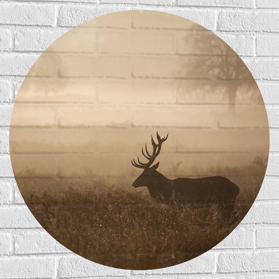 Muursticker Cirkel - Hert in mistige omgeving in een weiland met hoog gras - 80x80 cm Foto op Muursticker