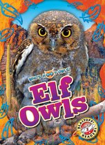 Who's Hoo? Owls! - Elf Owls