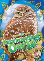 Who's Hoo? Owls! - Burrowing Owls