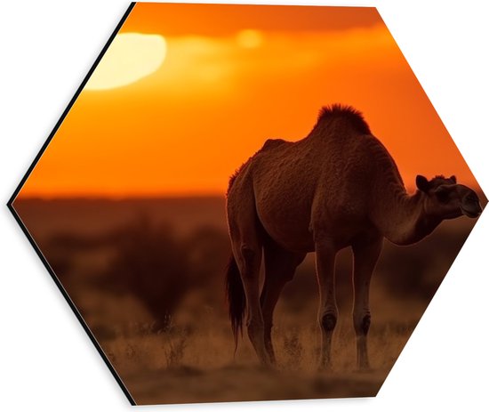 Dibond Hexagon - Dromedaris in savanne met zonsondergang in de achtergrond - 30x26.1 cm Foto op Hexagon (Met Ophangsysteem)