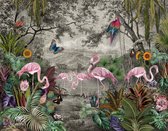 Fotobehang Wallpaper Jungle And Tropical Forest Banana Palm And Tropical Birds, Old Drawing - Vliesbehang - 360 x 240 cm