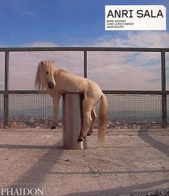 Anri Sala - cover