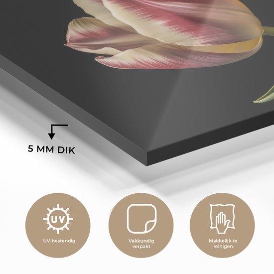 MuchoWow® Peinture sur verre - Tulipes - Fleurs - Rose - Wit - Nature - 120x80 cm - Peintures sur verre acrylique - Photo sur Glas
