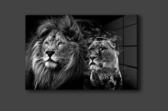 Lion couple 2.0 schilderij op plexiglas 60x90cm