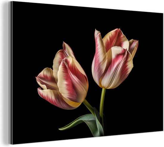 Wanddecoratie Metaal - Aluminium Schilderij Industrieel - Tulpen - Bloemen - Roze - Wit - Natuur - 60x40 cm - Dibond - Foto op aluminium - Industriële muurdecoratie - Voor de woonkamer/slaapkamer