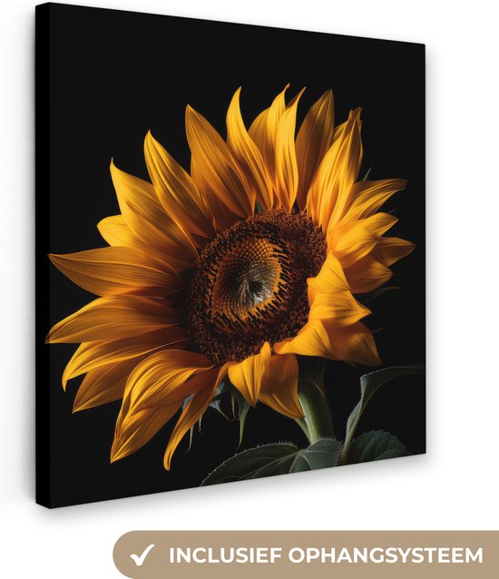 Une toile carrée avec un tournesol sur fond noir, avec système de suspension inclus.