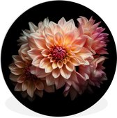 WallCircle - Wall Circle - Wall Circle Indoor - Dahlia - Fleurs - Rose - Zwart - Botanique - 30x30 cm - Décoration murale - Peintures Ronds