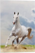 Vlag - Galopperend Witte Paard door Grasveld - 40x60 cm Foto op Polyester Vlag