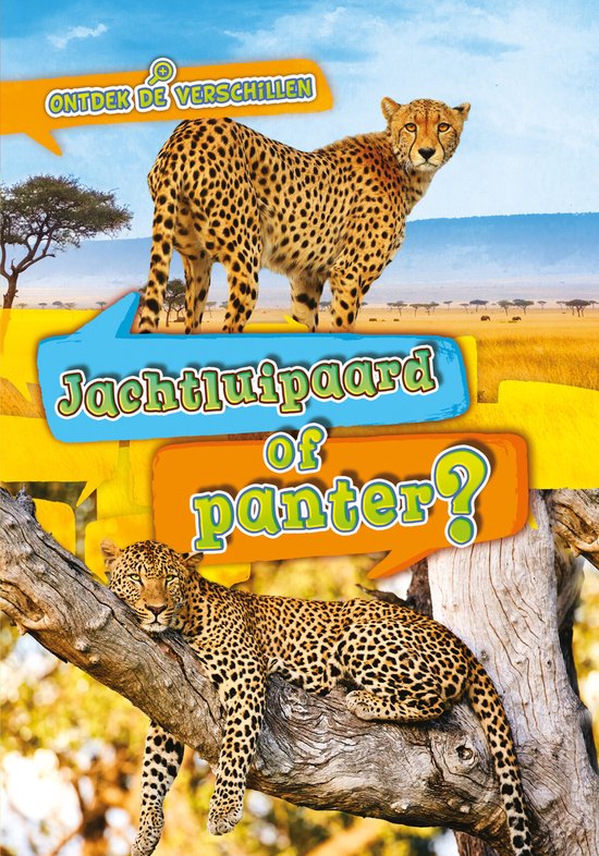 Ontdek de verschillen jachtluipaard of panter