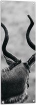Tuinposter – Achteraanzicht van Antilope (Zwart-wit) - 40x120 cm Foto op Tuinposter (wanddecoratie voor buiten en binnen)