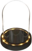 Glazen stolp met ledverlichting op zwarte houten basis