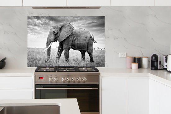 Spatscherm keuken 120x80 cm - Kookplaat achterwand Olifant - Gras - Dieren - Zwart wit - Muurbeschermer - Spatwand fornuis - Hoogwaardig aluminium
