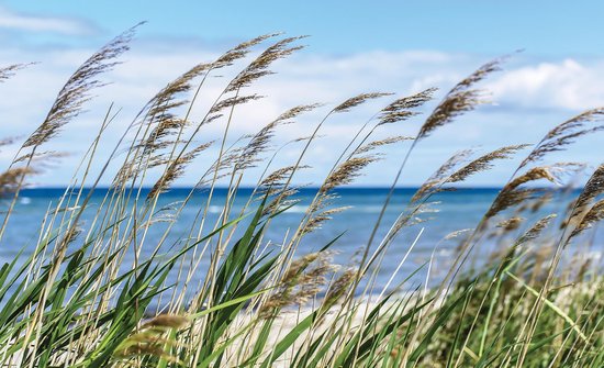 Fotobehang Vlies | Strand, Zee | Blauw | 368x254cm (bxh)