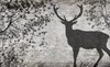 Deer Tree Leaves Wall Photo Wallcovering