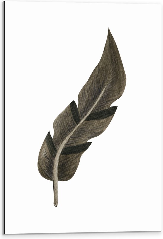 Dibond - Tekening van Hoekige Bruine Dierenveer tegen Witte Achtergrond - 40x60 cm Foto op Aluminium (Met Ophangsysteem)