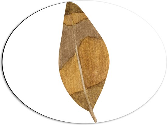 Dibond Ovaal - Tekening van Blad met Bruine Nerven tegen Witte Achtergrond - 56x42 cm Foto op Ovaal (Met Ophangsysteem)