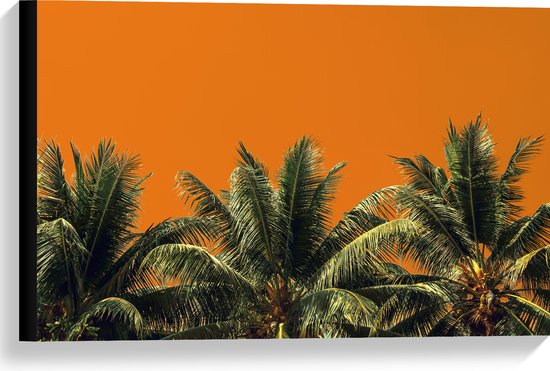 Canvas - Toppen van Palmbomen tegen Oranje Lucht - 60x40 cm Foto op Canvas Schilderij (Wanddecoratie op Canvas)