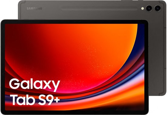 Samsung Galaxy Tab S9 Plus - WiFi - 256GB - Graphite