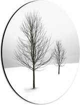 Dibond Ovaal - Landschap - Bomen - Sneeuw - Wit - 21x28 cm Foto op Ovaal (Met Ophangsysteem)