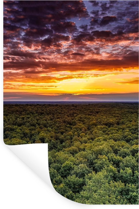 Stickers muraux - Film autocollant - Forêt - Nuit - Ciel - Horizon - Arbres - 60x90 cm - Film adhésif - Stickers muraux chambre d'enfant - Papier peint autocollant - Papier peint autocollant - Film autocollant