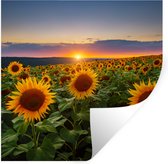 Stickers muraux - Film autocollant - Fleurs - Nuit - Coucher de soleil - Tournesol - Horizon - 80x80 cm - Film adhésif - Stickers muraux Chambre d'enfant - Papier peint autocollant - Papier peint autocollant - Film autocollant