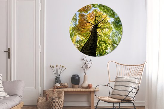 WallCircle - Muurstickers - Behangcirkel - Boom - Natuur - Bos - 120x120 cm - Muurcirkel - Zelfklevend - Ronde Behangsticker XXL