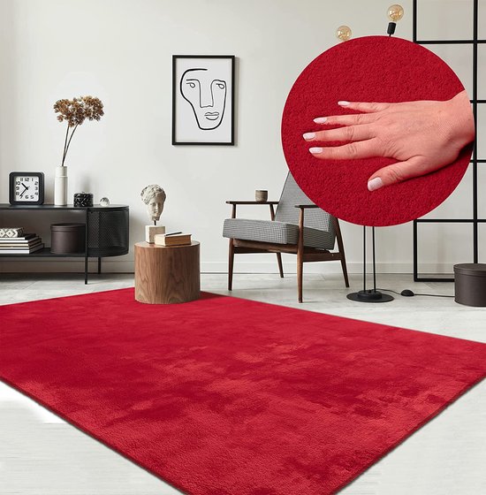Nauwkeurig Pat Thermisch Vloerkleed voor woonkamer of slaapkamer in rood 120x170 cm | Modern en  zacht kortpolig... | bol.com