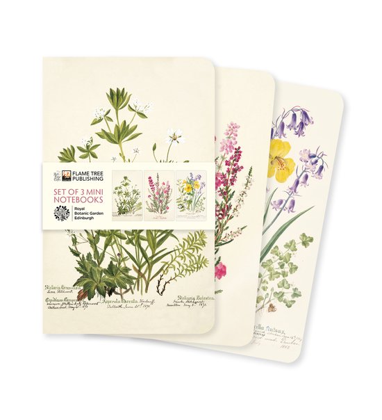 Mini Notebook Collections- Royal Botanic Garden Edinburgh Set of 3 Mini Notebooks