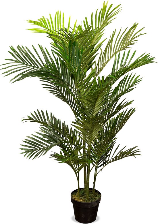 Plante artificielle Palmier Areca H105 cm - HTT Decorations