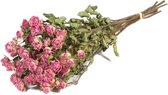 Droogbloemen rozen vertakt natuurlijk rosa - 1 bundel
