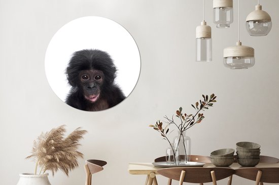 Cercle mural animaux - Cercle mural - Singe - Chimpanzé - Animaux - Enfants - Décoration murale garçons - Décoration murale filles - 90x90 cm - Plastique