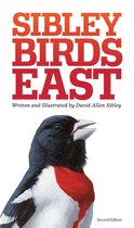 Sibley Field Birds Eastern North America